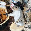 Pilgrim1