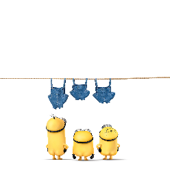 hxfJavaOK