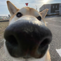 qq_38343412
